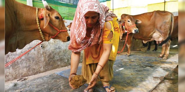 India promotes biogas amid energy crunch